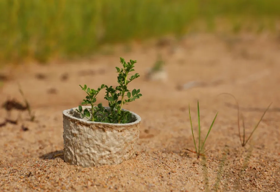 20251119/807caf20336dfa4e95616ed342790111.jpg 20251119/807caf20336dfa4e95616ed342790111.jpg